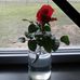 Barbara Lyle - Facebook