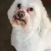 barbaralyle425 - @barbaralyle425 - TikTok