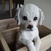 Barbara Mack - Facebook