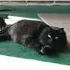Barbara Mack - @barbara.mack88 - TikTok