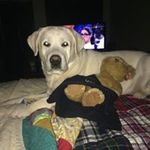 Barbara Allen Mackey - @barbaraallenmackey - Instagram
