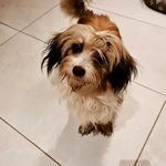Barbara Mackey - @barbara.mackey.1217 - Instagram