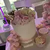 Barbara Madden848 - @barbaramadden848 - TikTok
