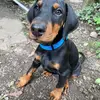 barbaramadden549 - @barbaramadden549 - TikTok