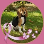 Barbara Madonna Ruffini - @barbararuffini57 - Instagram