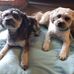 Barbara Maher - Facebook