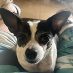 Barbara maher - @molly_mae2024 - Instagram