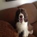 Barbara Malachowski - Facebook