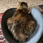 A-MICI PER LA ZAMPA - @barbara.marchetti.74 - Instagram