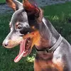 Barbara Marchetti - @barbaramarchetti6 - TikTok