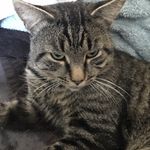 Barbara Marion - @baile_ygirl1 - Instagram