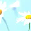 Barbara Mark - @karenkkt6472 - TikTok