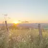 Barbara Mark - @dorothycze6244 - TikTok