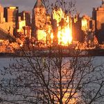 Baba Woods - @barbaramarkeyclark - Instagram