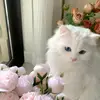 barbaramary_20000824 - @barbaramary_20000824 - TikTok