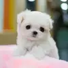 BarbaraMary - @user9977624347011 - TikTok