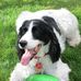 Barb Mathiesen - Facebook