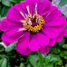 Barbara Mathieu - Facebook