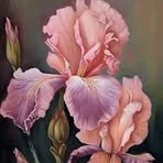 Barbara Mathis - Facebook