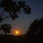 Barbara Mattei - @bigia.2023 - Instagram