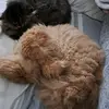 Barbara Mattei - @barbara.mattei3 - TikTok