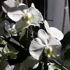 user3874660627275 - @barbara83matteo - TikTok