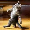 Barbara - @barbaramatters - TikTok