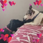Barbara Matter - Facebook