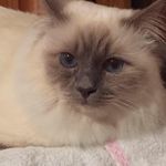 Barbara de Mattia - @bdm1970 - Instagram