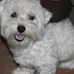 Barbara Mattocks - Facebook