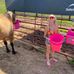 Barbara Mattson - Facebook