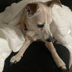 Barbara Mattson - @mattsonbarbara1962 - Instagram