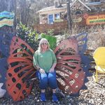 Barbara Mattson - @babsfern - Instagram