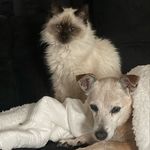 Barbara Mattson - @sadiemae015 - Instagram