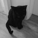 Barbara Matys - Facebook