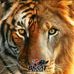 Barbara Mather - Facebook