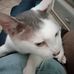 Barbara Maier - Facebook