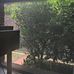 Barbara Maner - Facebook