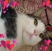 Barbara Max - Facebook