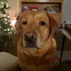 barbaramaxey871 - @barbaramaxey871 - TikTok