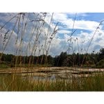 Barbara Maxfield - @doomerancy - Instagram