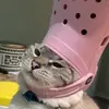 Barbara Mayberry - @barbaramayberry507 - TikTok