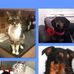 Barbara Mayers - Facebook