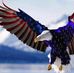 Barbara McClory - Facebook
