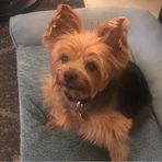 Barbara McAfee - Facebook