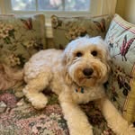 Barbara McAnally - @barbara.mcanally5 - Instagram