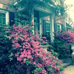 Barbara McAnally - @b.mcanally8 - Instagram