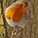 Barbara Mcarthur - @mcarthur6521 - Instagram