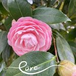 Barbara Rieger Weinert Mcbee - @riegerweinertmcbee - Instagram