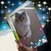 Barbara Mccaffrey - Facebook